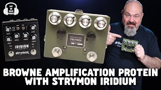 BROWNE AMPLIFICATION PROTEIN amp STRYMON IRIDIUM [upl. by Nnayhs]