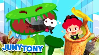 InsectEating Plants  Some Plants Eat Bugs  The Monster Plants  Kids Songs amp Stories  JunyTony [upl. by Eissen388]