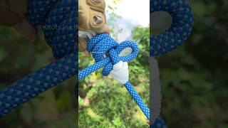 The BEST knot for Camping   Tarp Knots [upl. by Macdermot]