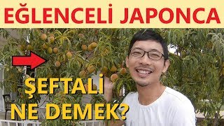 Japonca Kelimeleri Öğrettim Meyveler Tekerleme Bahçe YOSHI JAPONCA 1 [upl. by Aveneg]