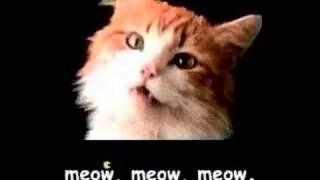 Meow Mix song [upl. by Moll]