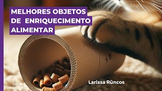 QUAIS OS TIPOS DE OBJETOS PARA O ENRIQUECIMENTO ALIMENTAR DO SEU GATO [upl. by Clio]