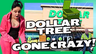 Dollar Tree GONE CRAZY dumpsterdivers dumpsterdivers dumpsters dumpsterdiving [upl. by Winebaum]