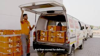 Fruits amp Vegetable Warehouse Corporate Film  Grofers  Vibhor Mathur [upl. by Scholz]