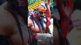 The boogeyman is eating live worms and throwing them at people wrestling boogeyman shorts wwe [upl. by Asilak]