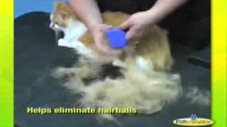 FURMINATOR DEMONSTRATION [upl. by Eram]