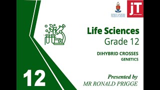 Gr 12  Life Sciences  Genetics  Dihybrid Crosses [upl. by Zeph913]