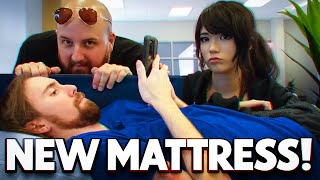 We Took Asmongold Mattress Shopping [upl. by Petracca]