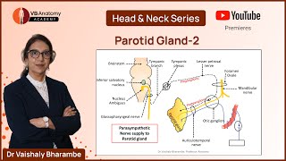 Parotid Gland 2 Advanced Anatomy and Clinical Insights with Dr Vaishaly Bharambe [upl. by Arahd258]