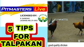 talpakan tips and trickspet Master TEPSonline sabong tips international sabong tips [upl. by Brooking]