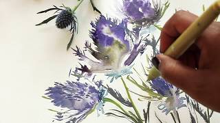 Eryngium Watercolor and Ink Painting Tutorial [upl. by Niroht516]