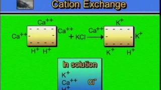 AGPR201 10 03 Cation Exchange Graphic [upl. by Jp]