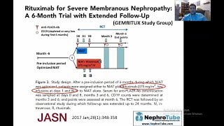 Membranous Nephropathy  Into Practice Arabic Version [upl. by Averill752]