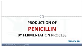 Production of PENICILLIN by fermentation process MALAYALAM [upl. by Akcinehs]