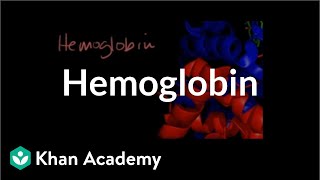 Hemoglobin  Human anatomy and physiology  Health amp Medicine  Khan Academy [upl. by Drawyeh917]