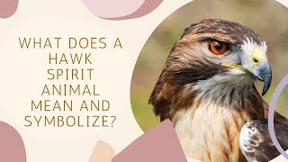 What Does a Hawk Spirit Animal Mean and Symbolize [upl. by Denby]