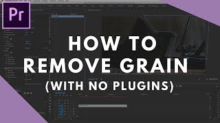 Reduce Grain in Premiere Pro with NO Plugins [upl. by Nyleuqcaj]