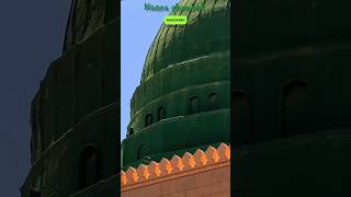 Hara Gumbat Jo dekhoge 💚 islamicshorts loveislamic88 madina makkah naat aksayyed rasoolallah [upl. by Assenev]