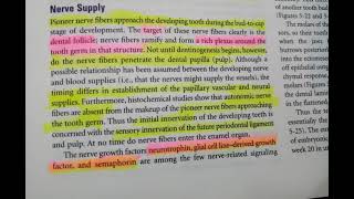 Nerve supply of developing toothDevelopment of tooth lecture 9 Tencates oral histology [upl. by Niattirb921]