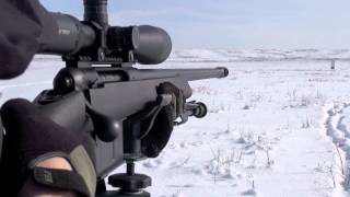 Savage 110FCP 338 Lapua Accuracy Testing [upl. by Kimura]