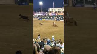 Reno Rodeo 2024 Calf Roping rodeo [upl. by Naie]