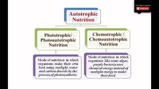 Autotrophic Nutrition and its types  Photoautotrophic Nutrition and Chemoautotrophic Nutrition [upl. by Okimuk]