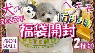 【福袋開封2022】イオンペット ペテモの大人気犬用福袋の中身が豪華すぎて衝撃！愛犬トルテと最速開封レビュー！絶対おすすめ大当たり🐶トイプードルのTorte channel） [upl. by Erlina770]