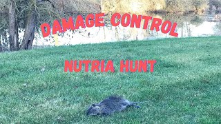 Nuisance Nutria Hunting For A Property Owner nutriahunting oregon pestcontrol [upl. by Penny]