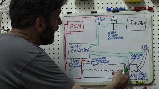 Diagnosis  Understanding EVAP Systems SBQM Full Video [upl. by Oicnedurp]