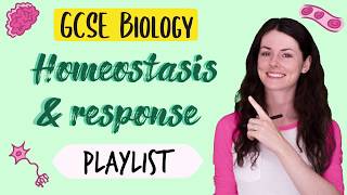 Homeostasis and Response GCSE Biology amp Combined Science 91 Playlist Thankyou [upl. by Libbie]