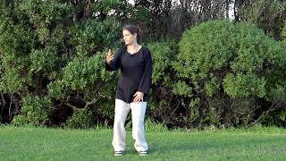 Qigong 5 Minutes a Day  Spinning the Silk Wheel  For Frozen Shoulder [upl. by Eitirahc]