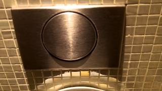 Big GEBERIT Button and Brandless toilet [upl. by Congdon]