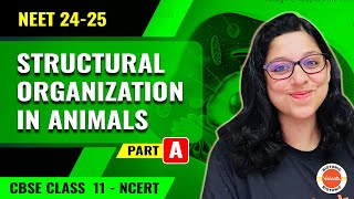 Structural Organization In Animals  Animal Tissues And Junctions  Class 12 Biology  NEET 24  25 [upl. by Annayoj]