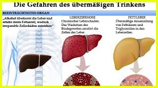 Die Wirkung von Alkohol auf den Organismus [upl. by Lauren]