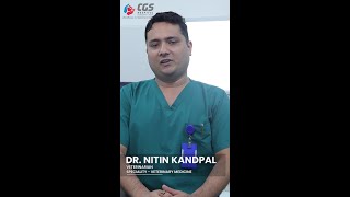 Dr nitin  Specialized treatments are available at CGS Hospital for pets [upl. by Nitsirc749]