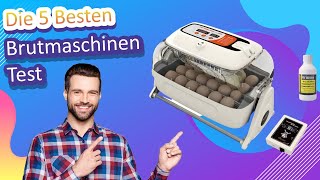 Die 5 Besten Brutmaschinen Test [upl. by Arval427]