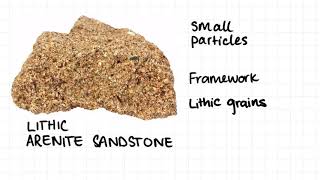 114 Sedimentary Rocks Rock Classification Examples [upl. by Cal610]