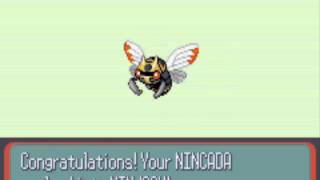 Episode Eight  Nincada evolves into Ninjask  SHEDINJA  Pokemon Ruby [upl. by Johan813]