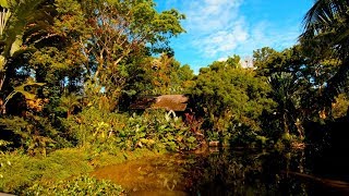 Sepilok Nature Resort Sabah Borneo Malaysia GoPro 1080p [upl. by Jaf120]