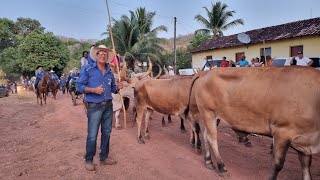 3 mil pessoas lotam comunidade Canto da Vazante para acompanhar 8ª edição de cavalgada [upl. by Harutak]