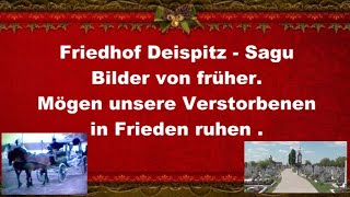 Foto Album Dreispitz Friedhof [upl. by Guinevere]