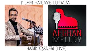 Habib Qaderi  Dilam Hawaye Tu Dara LIVE [upl. by Wittie]