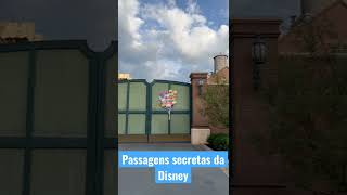 Passagens secretas da Disney disney shorts shortsvideo traveller travel hollywoodstudios [upl. by Ehcropal]