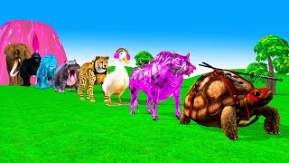 Paint amp Animals MammothGorillaLionDuckCowTiger Fountain Crossing Transformation Animal Cartoon [upl. by Ecnarrot]