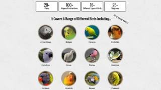 How To Build A Hexagonal Bird Aviary [upl. by Ettelorahc]