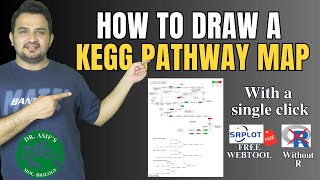 How to draw a KEGG pathway map [upl. by Vezza]