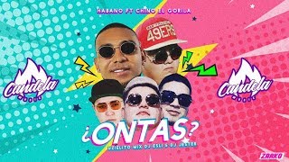 Ontas  Uzielito Mix Ft El Habano Chino el gorila candela music [upl. by Attenrev]