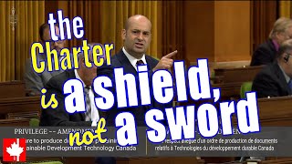 The Charter is to shield the people from the government Liberals like to use it as a sword [upl. by Gaiser]