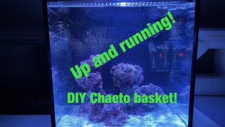 Nano Reef Tank  Setup amp Fill Up Innovative Marine Fusion 15 gallons with DIY Chaeto basket [upl. by Spieler]