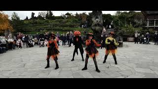 Audrey ADB Danse  Jack’O amp ses Lanternes Halloween 2023 à Pairi Daiza [upl. by Xad59]